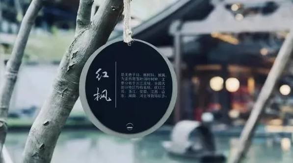 深圳品牌設(shè)計(jì)作品案例展示